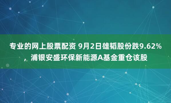 专业的网上股票配资 9月2日雄韬股份跌9.62%，浦银安盛环保新能源A基金重仓该股